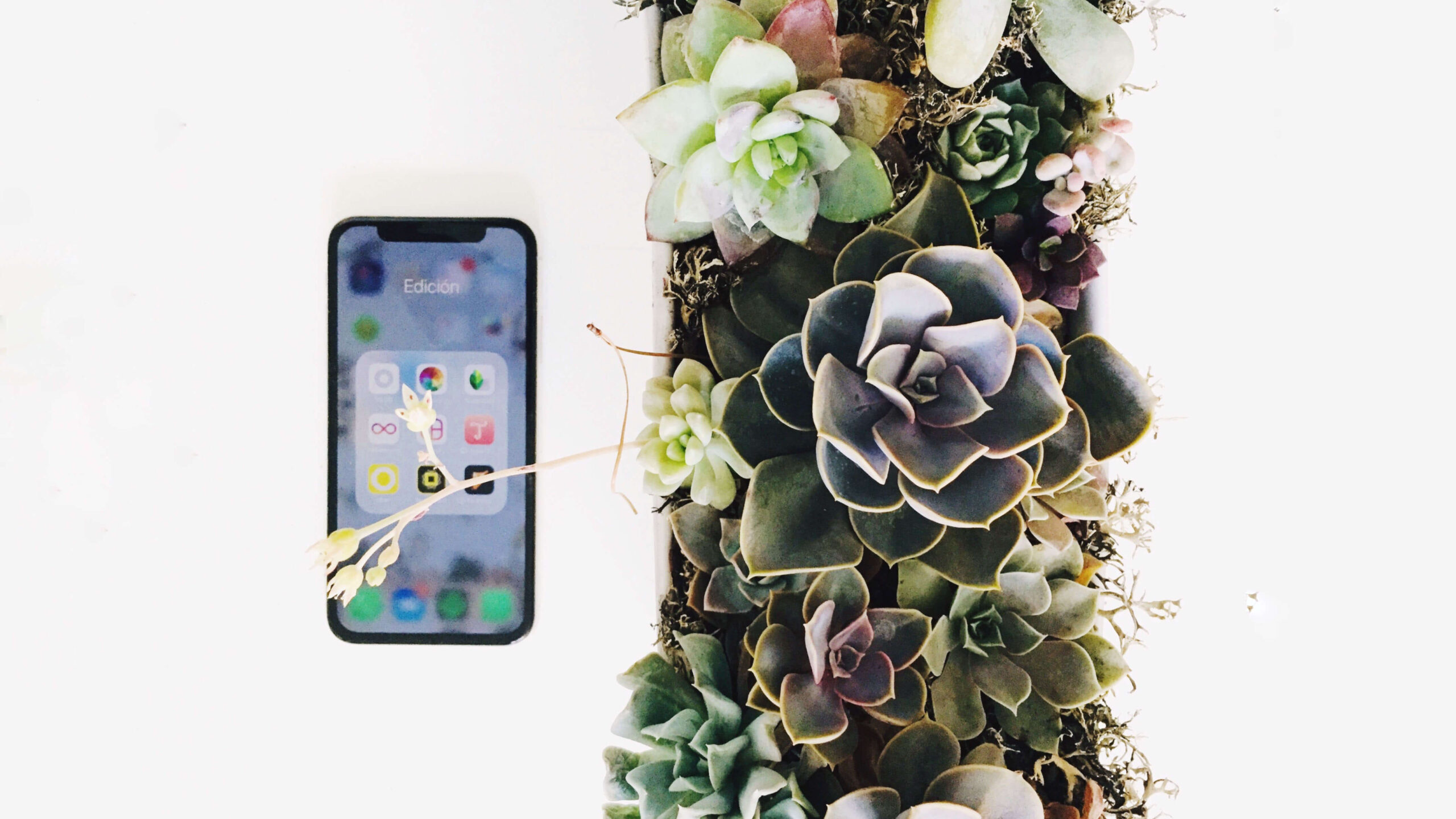 Processed with VSCO with 4 preset